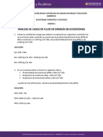 Analisis de Casos de Flujo de Energia en Ecosistemas