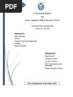 Cse Lab Report