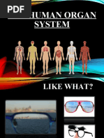 1 Respiratory System