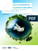 putting-carbon-markets-to-work-on-the-path-to-net-zero-report