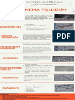 Treponema Pallidum Infografia