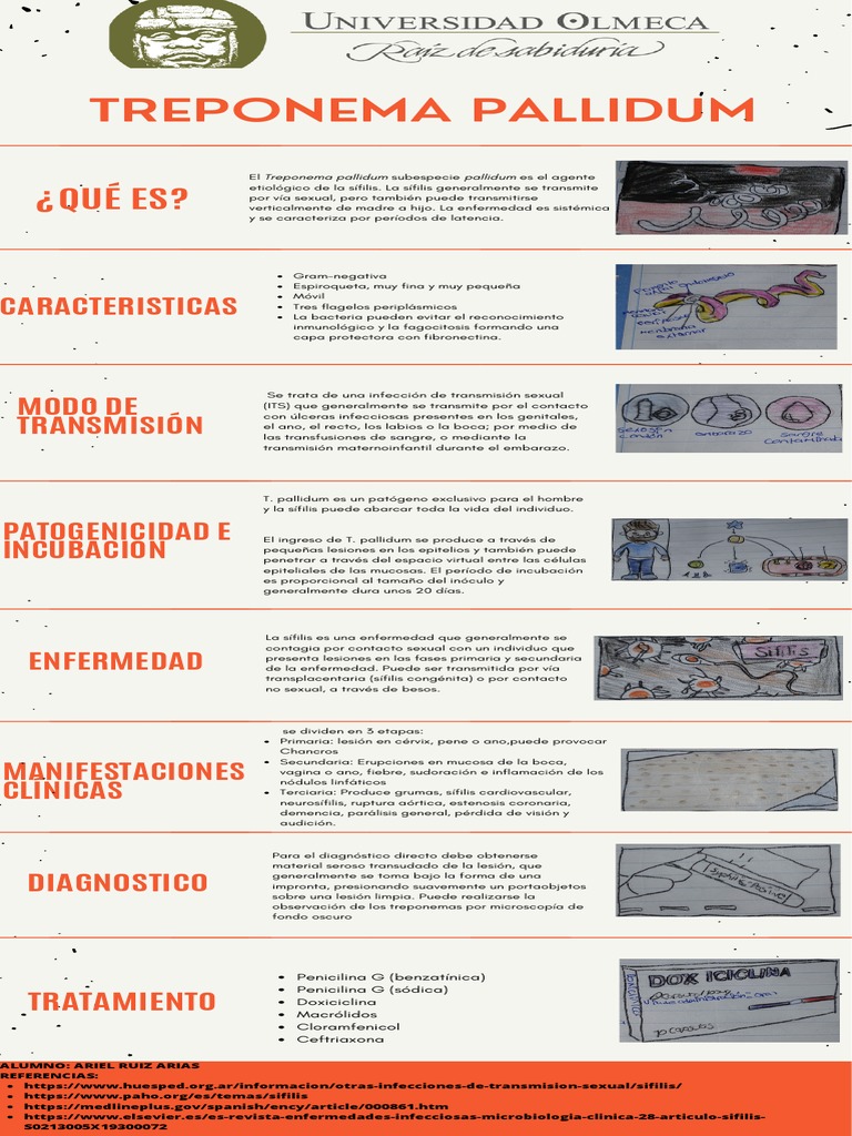 Treponema Pallidum Infografia PDF Salud pública Enfermedades animales