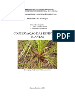 Conservação Das Espécies de Plantas - Butia Leptospatha