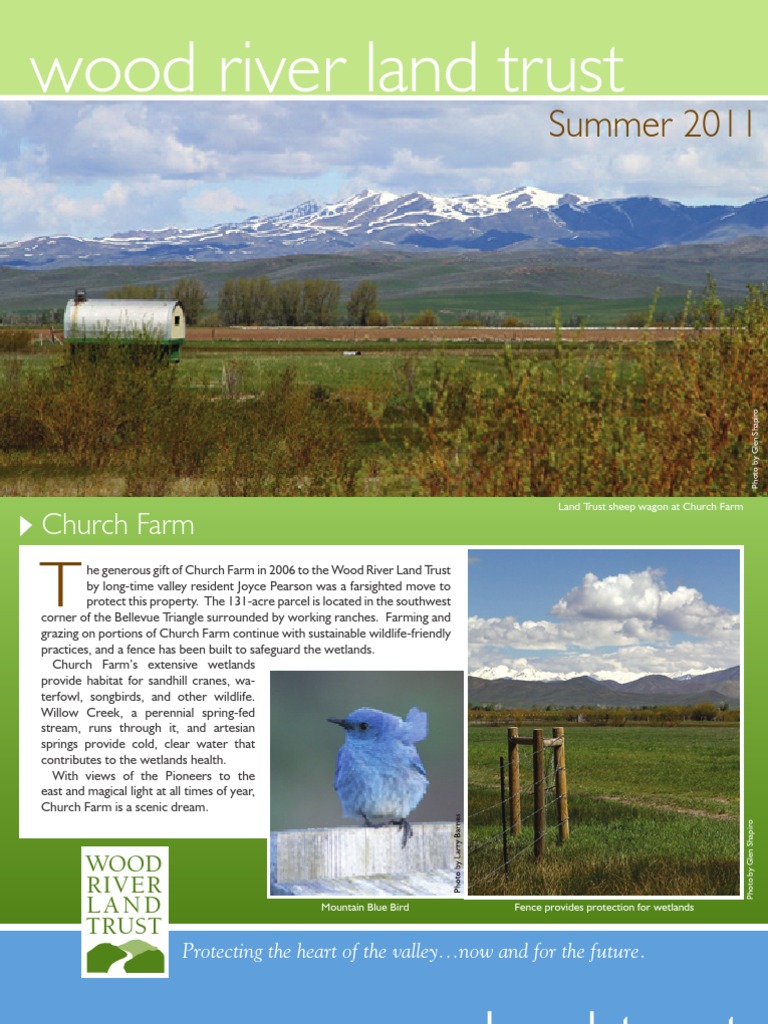 Florence Sc Flower Farm | TikTok, image size:768x1024