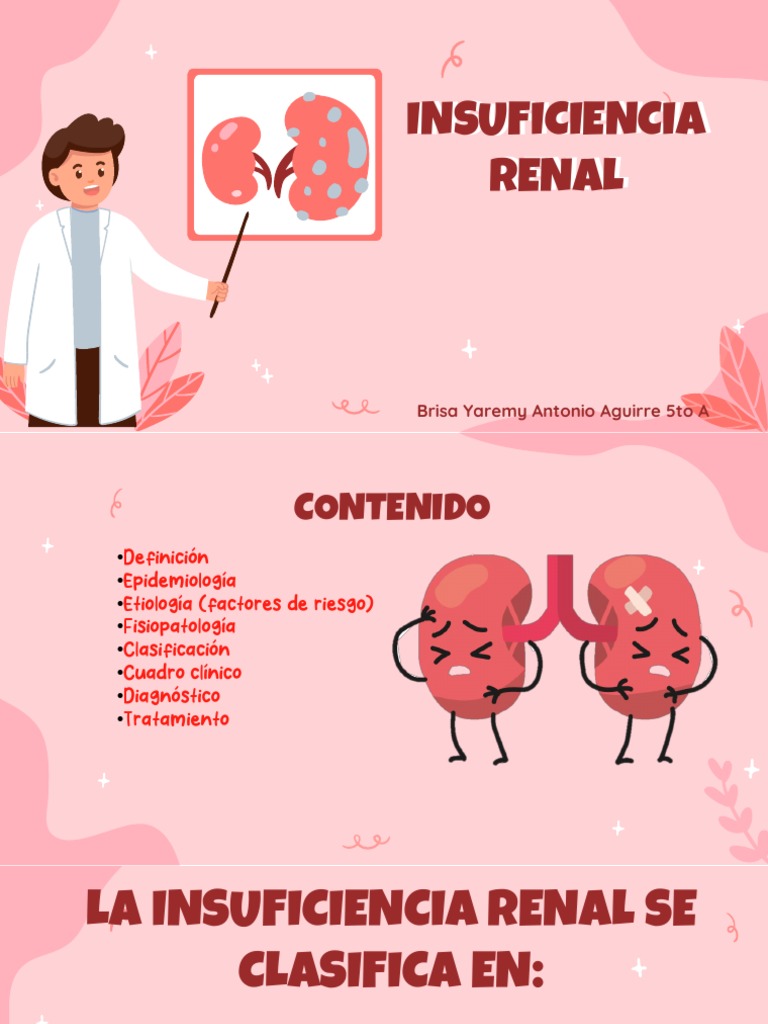 IRC - Antonio Aguirre Brisa Yaremy (5A) | PDF | Enfermedad renal ...