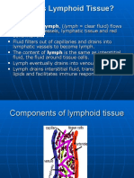 Lymphoid Organs in Detail