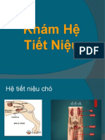 C7. Khám Hệ Tiết Niệu