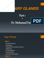 Salivary Glands