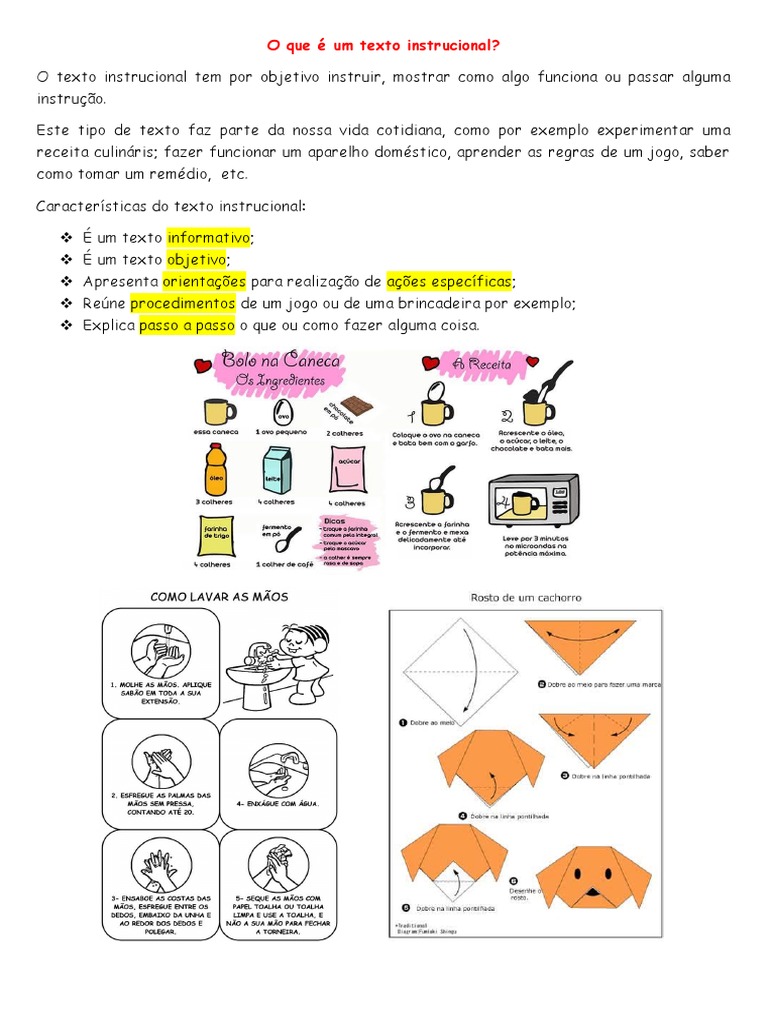 Texto Instrucional | PDF