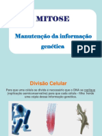 Divisão Celular Mitose