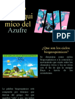 Ciclo Del Azufre