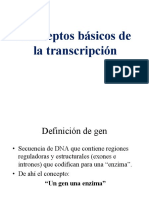 A-02 Conceptos Basicos Transcripciã N
