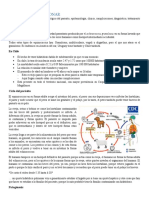 Hidatidosis Pulmonar