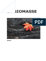 La Biomasse: Auteur