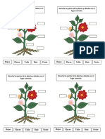 Ficha 15 de febrero las plantas