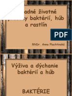 ZÃ¡kladnÃ© Å Ivotnã© Procesy baktÃ©riÃ, Hãºb A Rastlã N