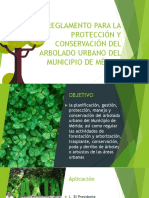 01 Pres Reglamento para La Protección y Conservación Del Arbolado