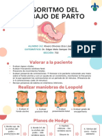 Algoritmo del trabajo de parto