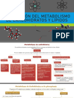Integración Del Metabolismo de Carbohidratos y Lípidos - UPBBJG