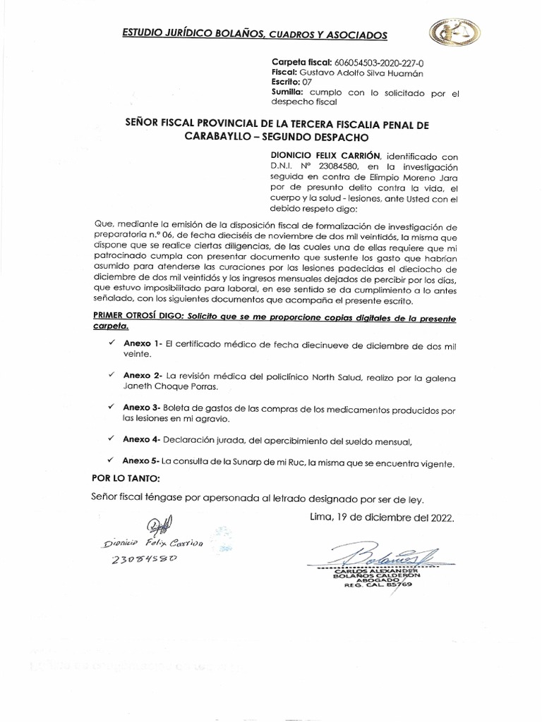 escrito-y-anexos-pdf