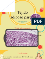 Tejido Adiposo Pardo