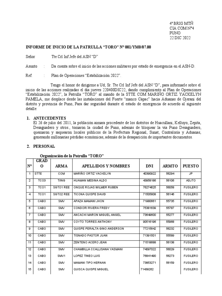 INFORME INICIAL Modelo | PDF