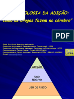 Slides Neurobiologia Da Adicao MPPR 2014