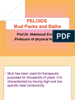 Mud - PELOIDS Lecture 2 and Fluido 2020