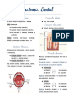 Anatomia Dental - Fonoaudiologia