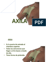 Estructuras y contenido de la axila: guía completa de