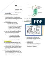 BAB 8 Plantae