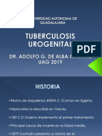 Tuberculosis Genitourinaria