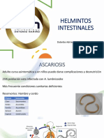 HELMINTOS