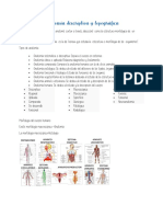 Anatomía Descriptiva y Topográfica