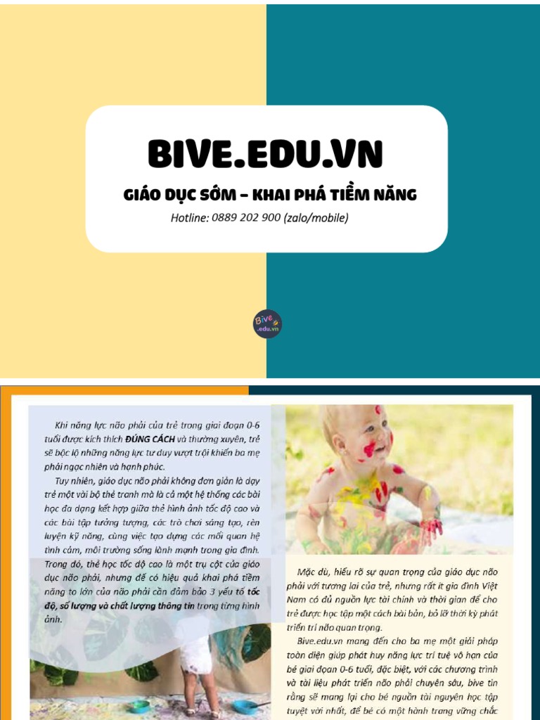 Tổng Quan Về Bive | PDF