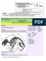 Uni. #2 Ficha - Semanal 2do Bt-4