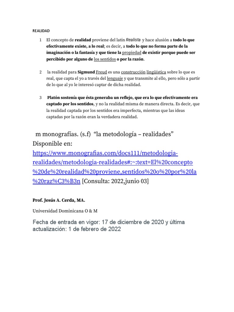REALIDAD PDF