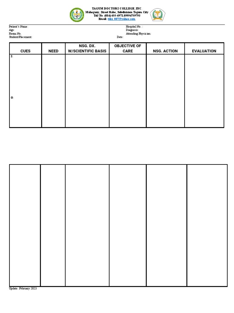 Nursing Care Plan Format | PDF