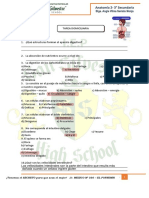 Anatomia - Aparato Digestivo - Cuestionario TANIA