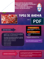 Tipos de Anemia - Jhoselin Quenta