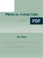 Plants Vs Animal Cells