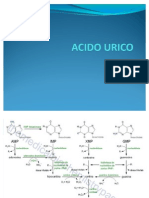 ACIDO URICO