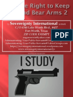 Right To Bear Arms 2