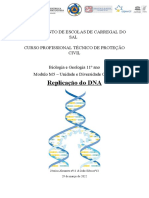 Replicação DNA 40