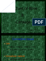 Structure of Bone and Cartilage