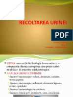 Recoltarea Urinei 2E, (Nursing)