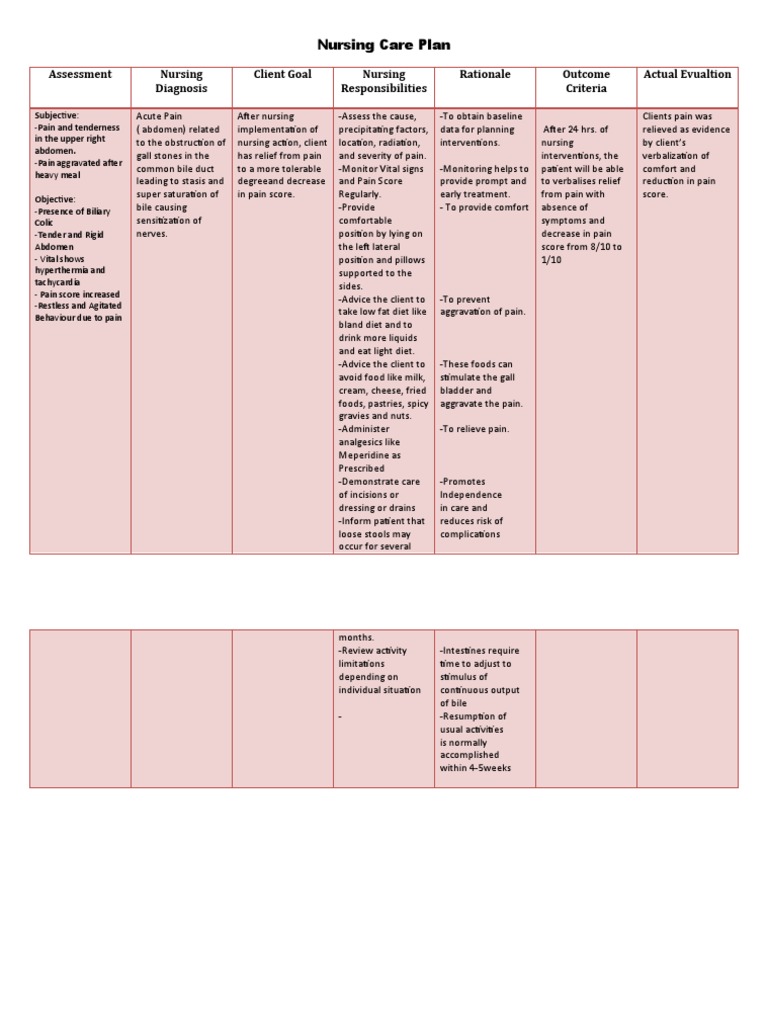 nursing-care-plan-pdf-pain-diseases-and-disorders