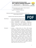 Regulasi Pengelolaan Informasi Rumah Sakit