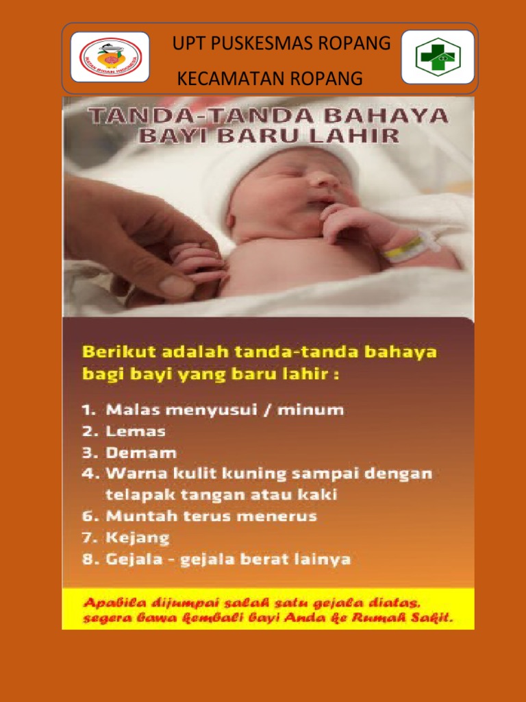 Layanan Kesehatan Ropang | PDF