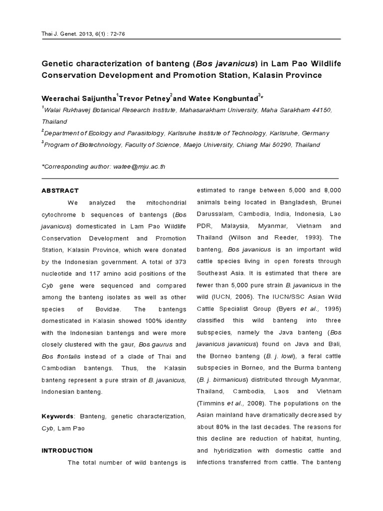 genetic-characterization-of-banteng-bos-javanicus-in-lam-pao-wildlife